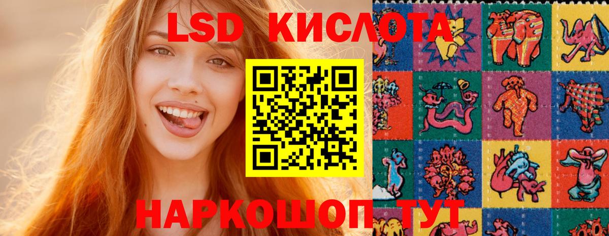 Курчалой  мега ТОР  Лсд 25 экстази кислота  Вход с VPN  ЛСД экстази ecstasy 