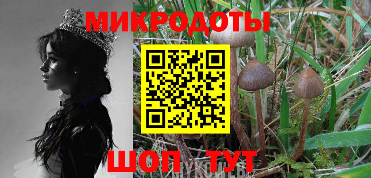 Галлюциногенные грибы мицелий  Галлюциногенные грибы мицелий  Вход с VPN  Курчалой 