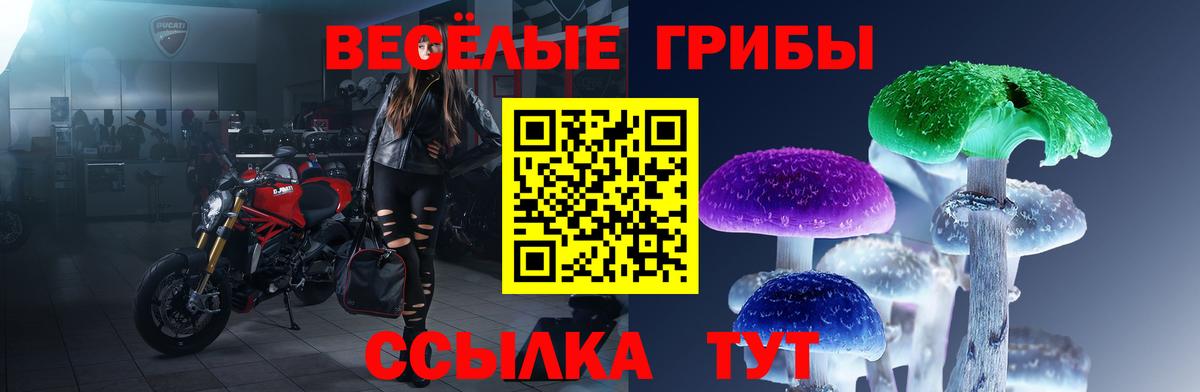 Гашиш  А ПВП СК   ГАШ  Бошки Шишки  МЕФ   Курчалой  Вход с VPN 